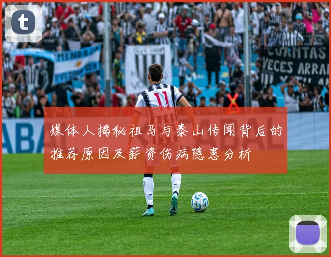 媒体人揭秘祖马与泰山传闻背后的推荐原因及薪资伤病隐患分析